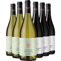Nestore Bosco Kennenlern-Paket - Nestore Bosco