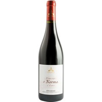 Norma Etna Rosso DOC - Cantine Valenti
