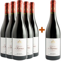 5+1 Paket Norma Etna Rosso DOC - Cantine Valenti