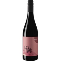 Zweigelt Rennersistas BIO - Renner & rennersistas