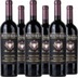 Barbera DOC Appassimento 