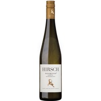 Grüner Veltliner Renner DAC Hirsch