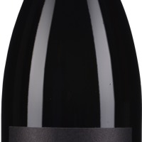 Blaufränkisch Ried Saybritz