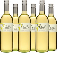 Grüner Veltliner Weingut Pleil