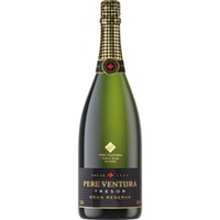 Cava Gran Reserva Tresor Brut Magnum - Pere Ventura