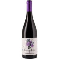 Raig de Raim Tinto Terra Alta DO trocken - Celler Piñol