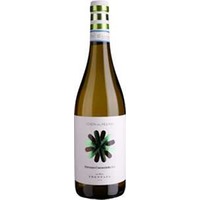 Cantina Frentana: Abruzzo Cococciola DOC Costa del Mulino -