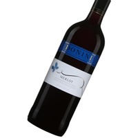 DONINI Merlot Trevenezie IGT