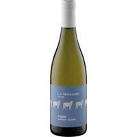 Tradition Pabiro Blanc Igp Cotes de Thongue #8211; Bio