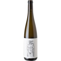 Grüner Veltliner Hofstudien