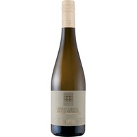 Luna Pinot Grigio delle Venezie IGT - Cecilia Beretta