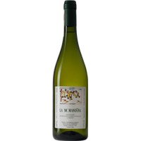 La Morandina Moscato d'Asti DOCG - - Piemont, Italien
