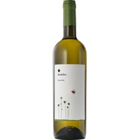 Roccafiore Fiordaliso Bianco, Umbria IGP, Umbrien, 2024, Weißwein