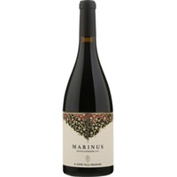 Il Conte Villa Prandone Marinus Rosso Superiore, Rosso Piceno DOC, Marken, 2022, Rotwein