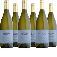 Chardonnay Trentino DOC Bottega Vinai