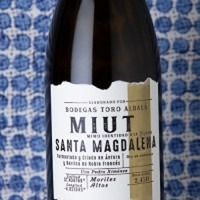 Toro Albalá Miut Santa Magdalena