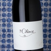 Les Terres De Philéandre Hautes Côtes de Nuits Célénie