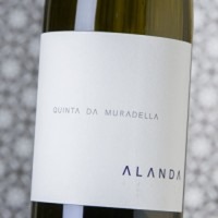 Alanda Blanco