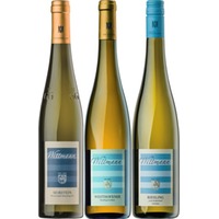 Weingut Wittmann Weinpaket Exklusiv Morstein 2.25 l Rheinhessen