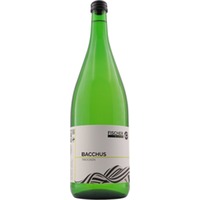 Bacchus Kabinett trocken 1,0 L - Weingut Fischer