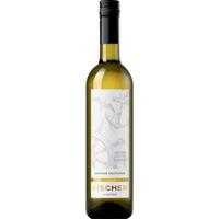 Limited Grüner Veltliner trocken - Alfred Fischer
