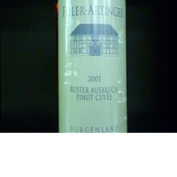 Feiler-Artinger Ruster Ausbruch PInot Cuvee Burgenland