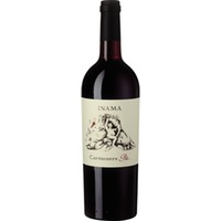 Carménère Più Veneto Rosso IGT