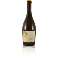 LIMONI SPRITZ Aperitivo Frizzante Italiani