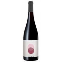 Pinot Noir - Sophie Schaal