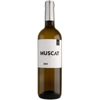 Miquel Oliver »Muscat Original« Spanien Weißwein Trocken