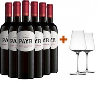Zweigelt Rubin Carnuntum DAC ÖTW Gebietswein trocken Bio + 2 GRATIS Weingläser von UNO Glassworks Bio - Weingut Payr - Bio Weingut Robert Payr