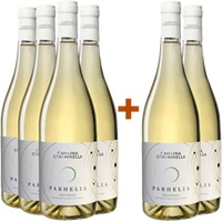 4+2 Paket Parhelia Pecorino Colli Aprutini IGP - Cantina Colonnella