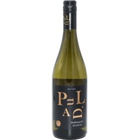 Weißburgunder Wagram DAC - Paul Direder