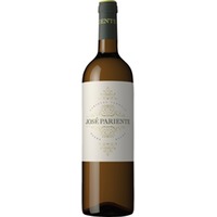 José Pariente Varietal Verdejo, Rueda DO, Kastilien - León, 2025, Weißwein