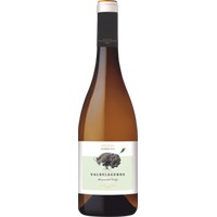 Valdelagunde Cuvée Especial Verdejo - Pedro Escudero