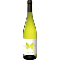 Apollo Trebbiano d'Abruzzo bio DOC - Ausonia