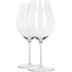 Glas Performance - Pinot Noir im 2er Set 