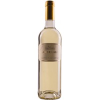 Anselmi Capital Foscarino Veneto IGT