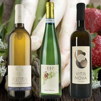 Spargelweine (6 Fl.) - frei Haus