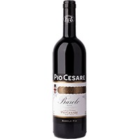Pio Cesare : Barolo