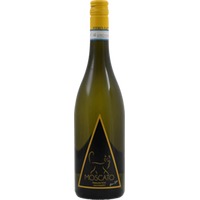 Moscato Piemonte DOC - Piero Gatti