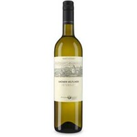 Grüner Veltliner Lössterrassen