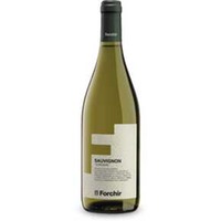 Famiglia Bianchini Sauvignon Blanc