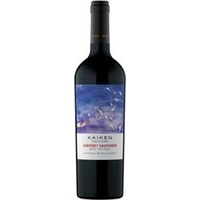 Kaiken Terroir Series Cabernet Sauvignon
