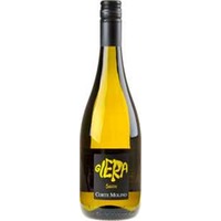 Corte Molino Glera Frizzante Indicazione Geografica Tipica Veneto