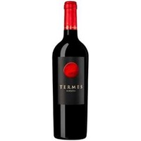 Bodega Numanthia Termes