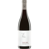 Pinot Noir Reserve Selektion P - Weingut Paul Achs