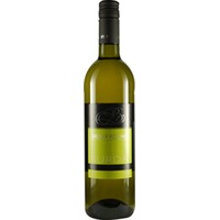 Grüner Veltliner trocken - Burda Weine Gols