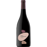 Pago Florentino VP trocken Bio - Bodegas Arzuaga Navarro