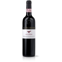 Il Falchetto Barbera d'Asti DOCG Pian Scorrone - - Piemont, Italien